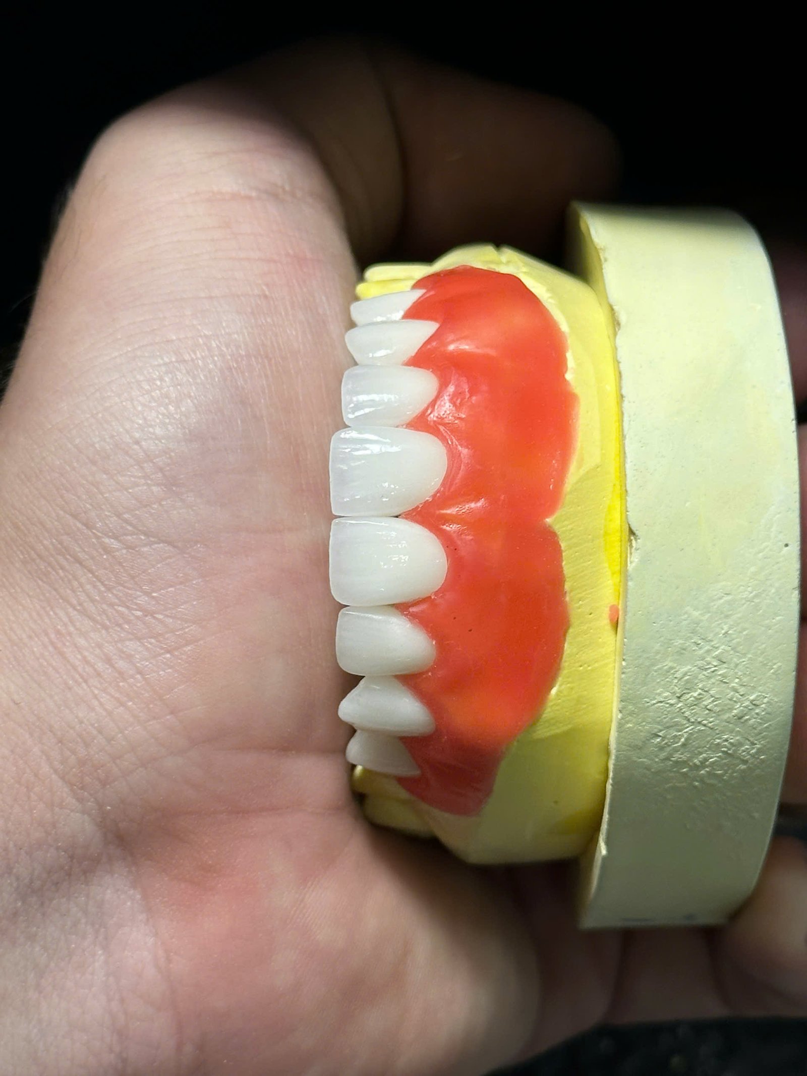 Hình ảnh sản phẩm Pro Dental Lab