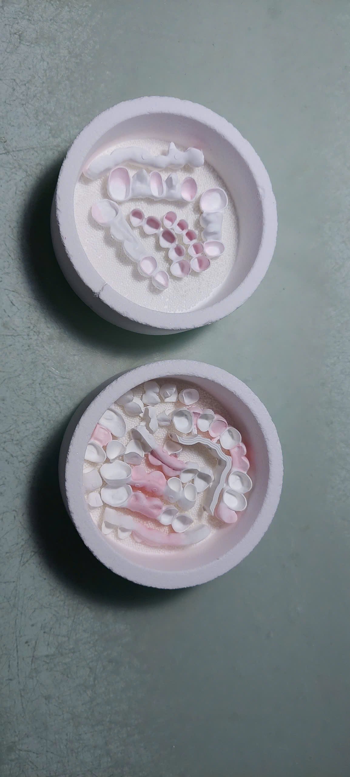 Hình ảnh sản phẩm Pro Dental Lab
